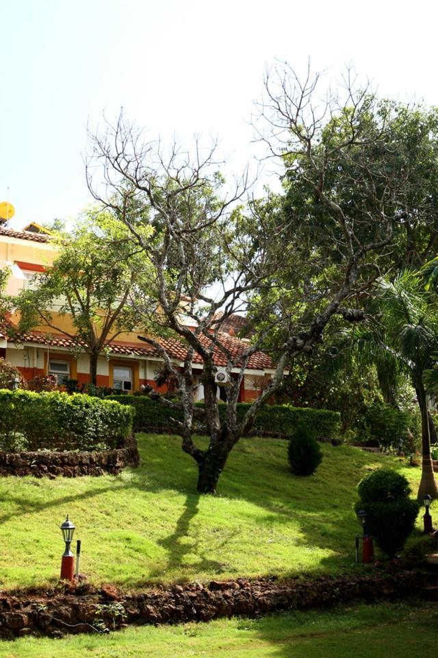 Nirvana Hermitage Anjuna Exterior foto
