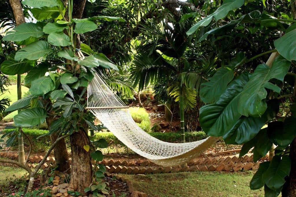 Nirvana Hermitage Anjuna Exterior foto